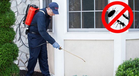 Sakarya Karınca İlaçlama böcek ilaçlama ve haşere kontrolü — ilaclama-tr.com